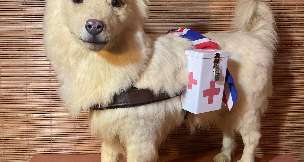 Muggins, le chien historique dont on se souvient et que l’on a restauré