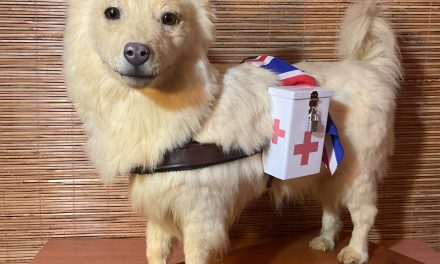 Muggins, le chien historique dont on se souvient et que l’on a restauré