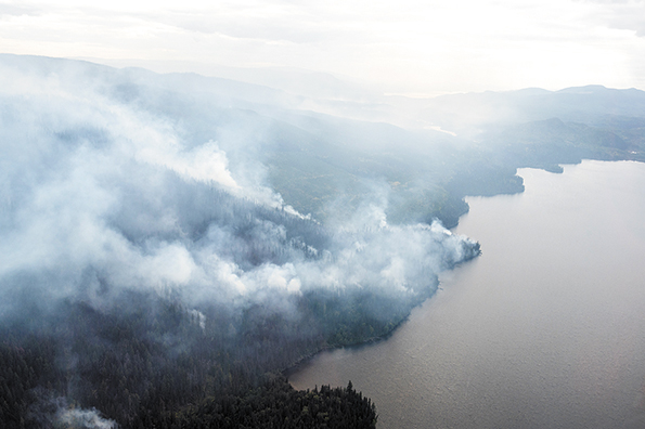 <strong>La Journée internationale des forêts</strong>