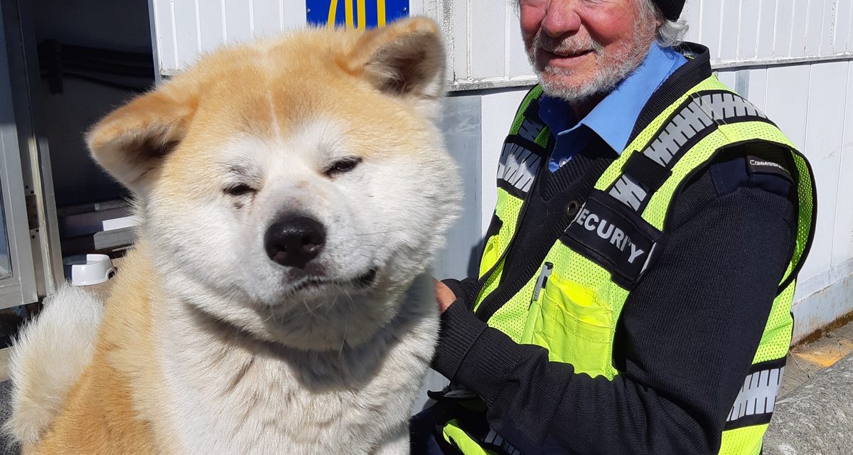 Rencontrez l’hôtesse d’accueil la plus pelucheuse de Y Jetty