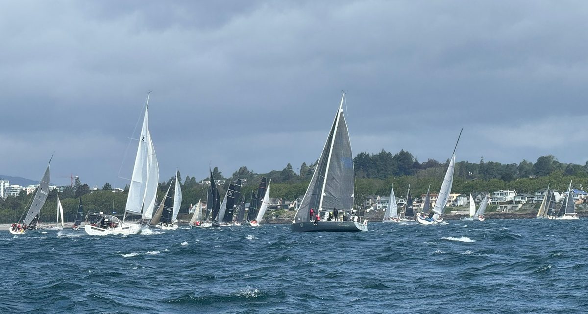 <em>Goldcrest</em> remporte une victoire morale dans la Yacht Race